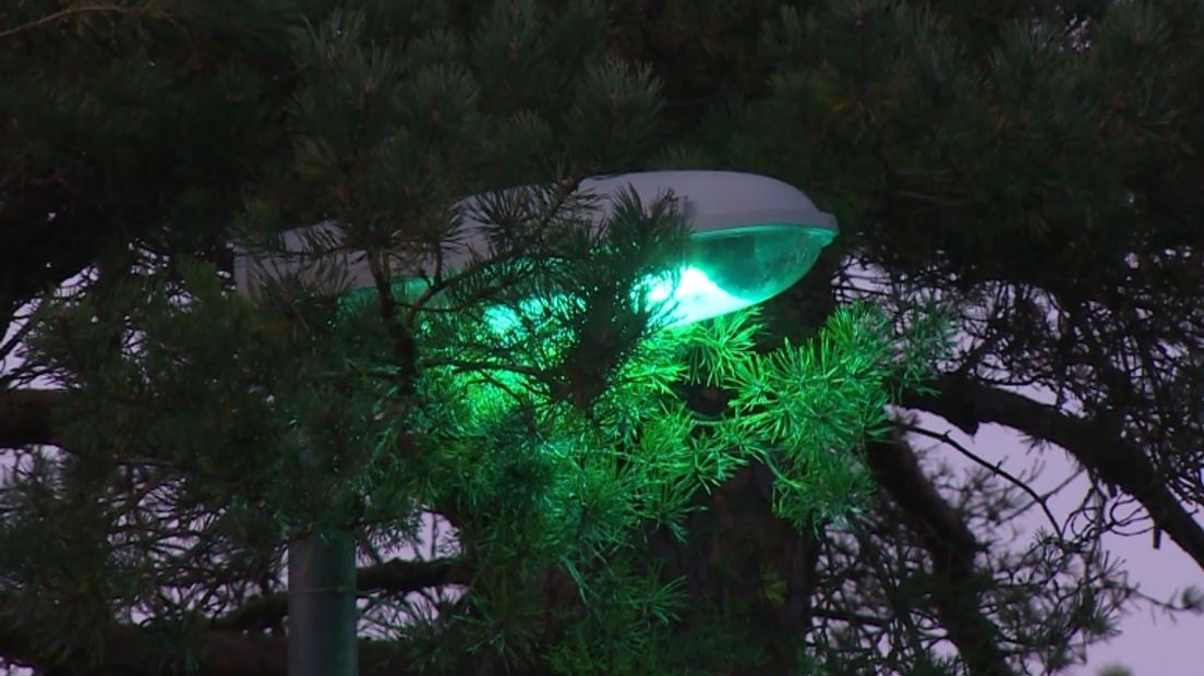 Nachtdieren houden niet van groen licht (Rechten: RTV Drenthe)