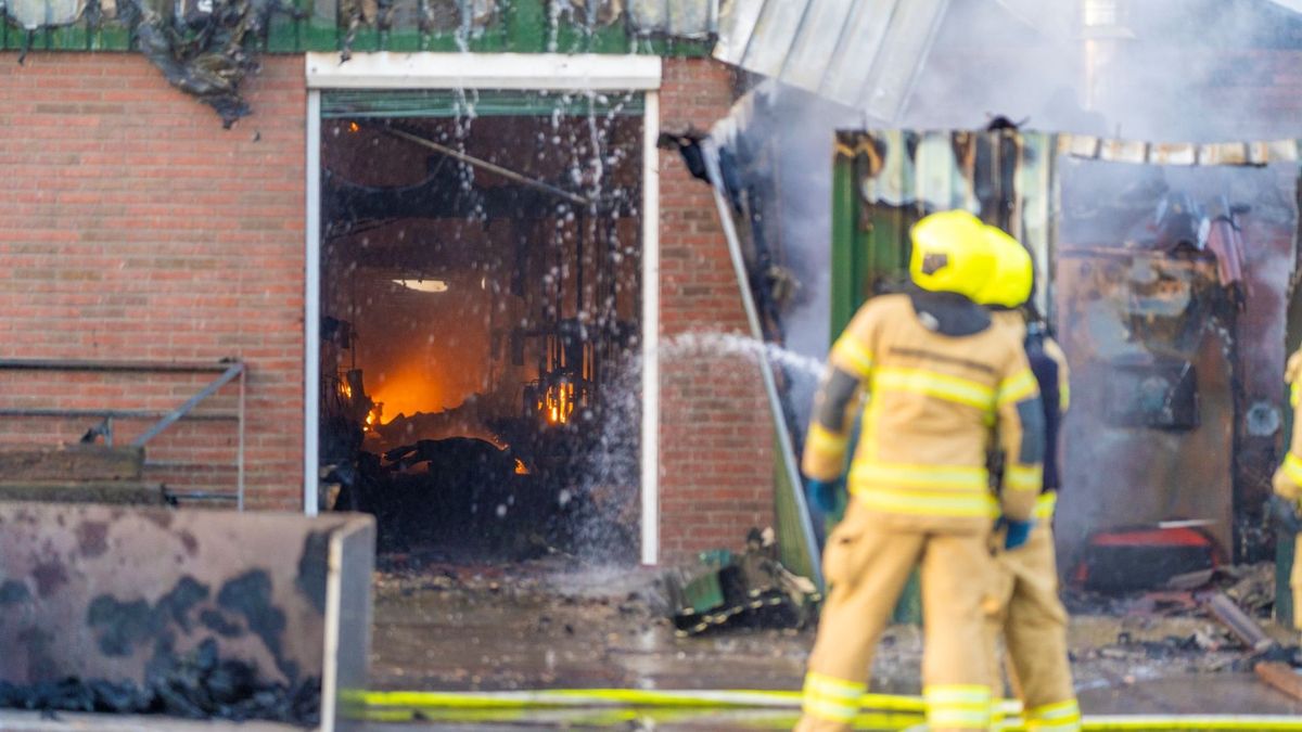 Stal Streefkerk brandt uit, 200 kalveren dood. 'Ze hadden geen enkele kans'
