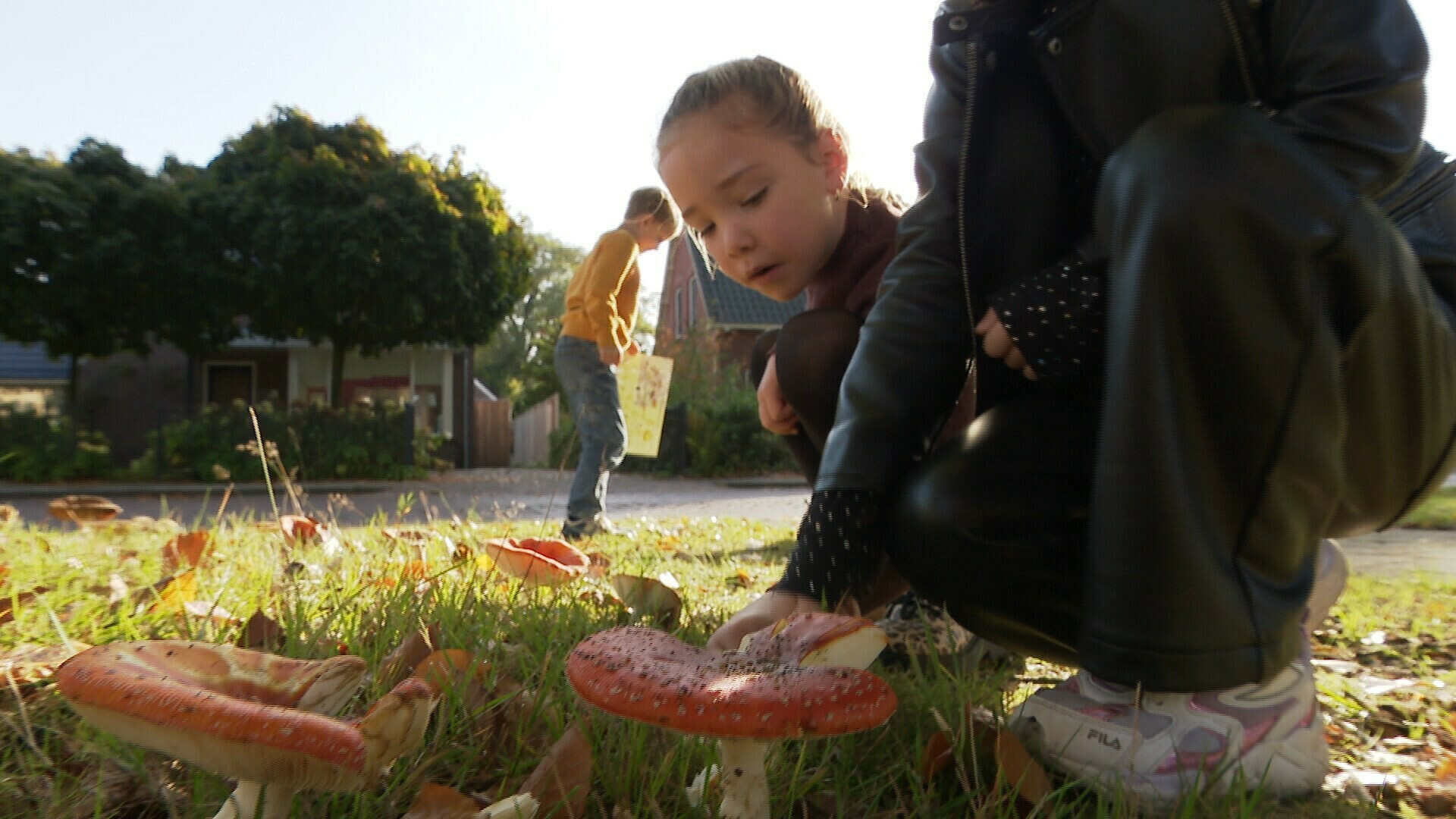 Wat is er dit weekend te doen in Drenthe?