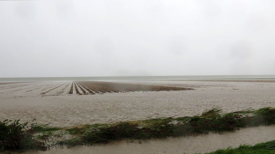 Een ondergelopen weiland ergens in de provincie