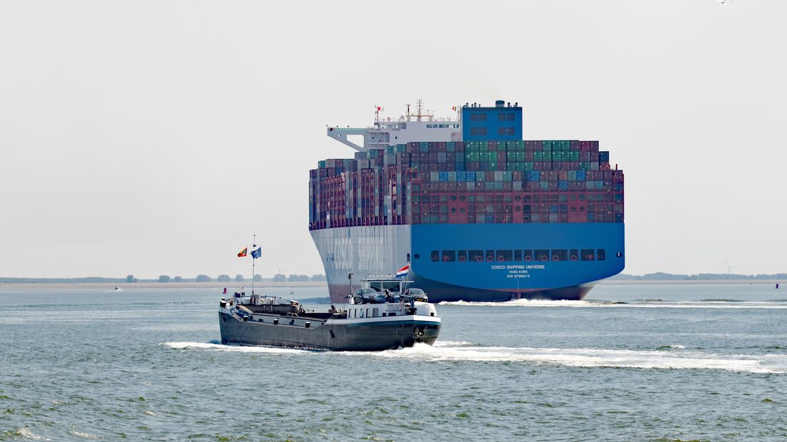 Het containerschip bij Hansweert