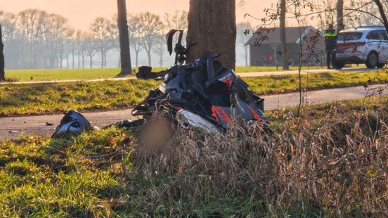 Motorrijder botst frontaal op boom, vuilnismannen verlenen eerste hulp