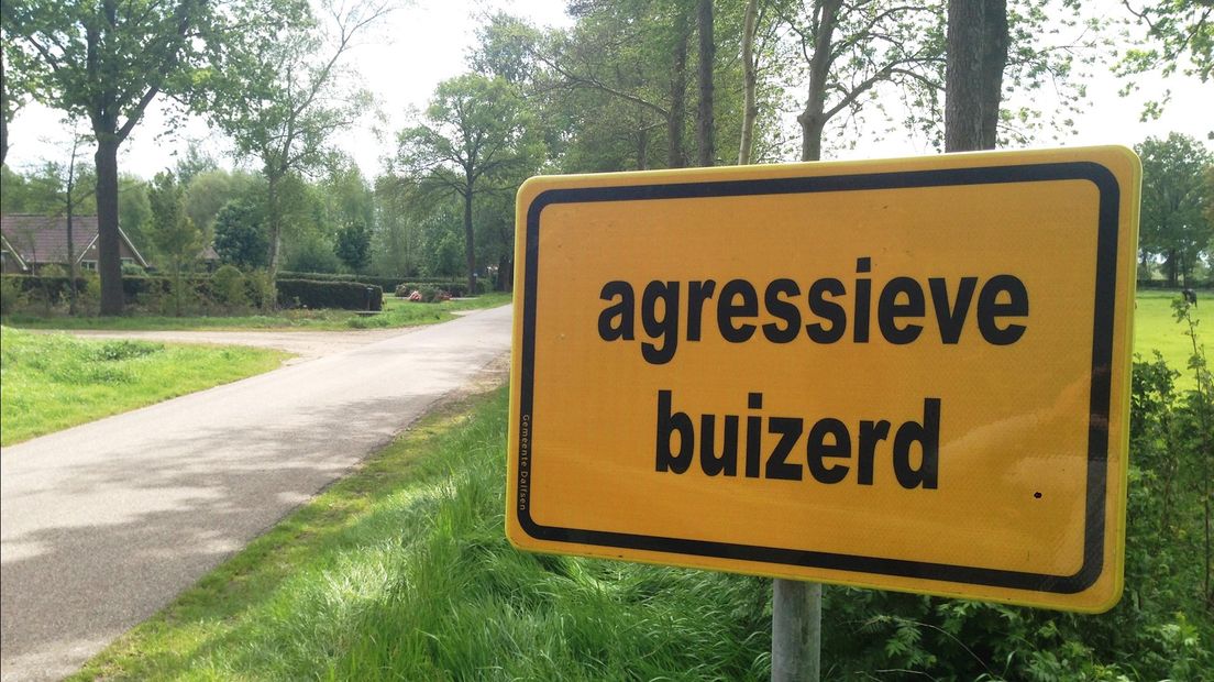 De gemeente Dinkelland gaat op korte termijn een waarschuwingsbord plaatsen tegen de buizerd