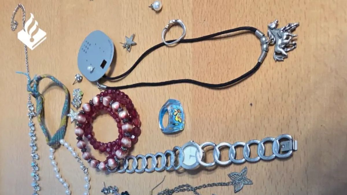 Vissende jongeren halen kluis met sieraden uit het water in Leeuwarden