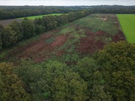 Meer bos nodig in Drenthe: 'Het Rijk zegt 'doe dit', maar we hebben er geen geld voor over'