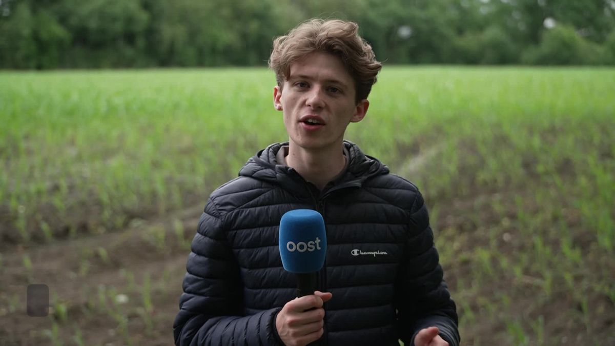 Haaksbergen vindt locatie voor asielopvang aan de Westsingel