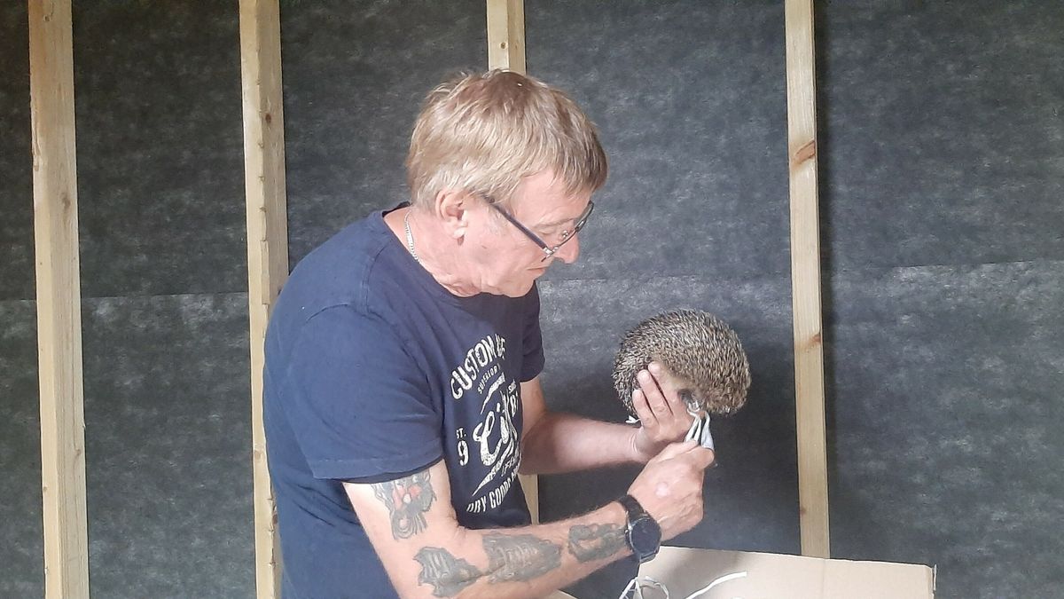 Egels in de kreukels? Hoogeveen trekt de portemonnee