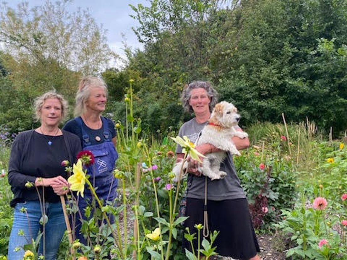 Chris Natuurlijk op bezoek bij de Stadsboerin Rotterdam met Tien Kookt en Jack Russel Bep
