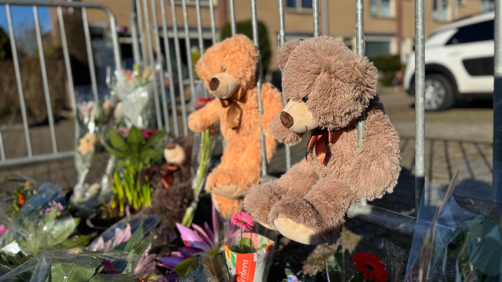 Geen celstraf, wel tbs voor doden Nieuwegeinse Sohani (11)