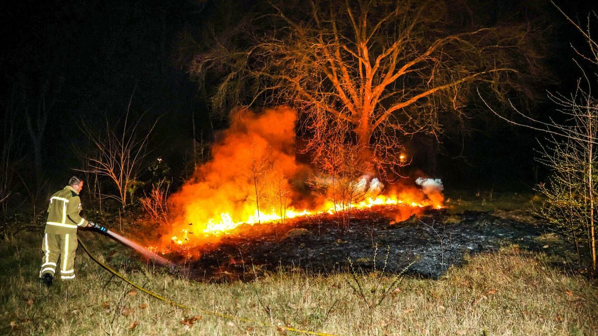Brandweer moet weer natuurbrandje blussen in Emmen