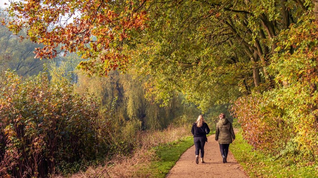 Dit weekend leent zich uitstekend voor een wandeling door de natuur.