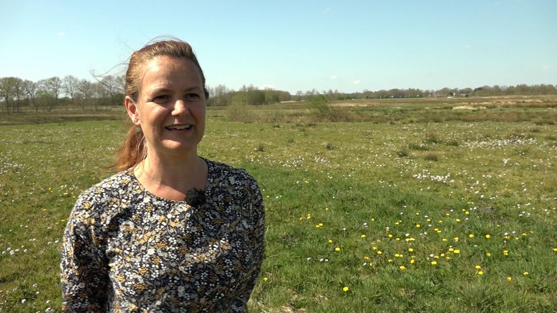 Bodemdeskundige Debby van Rotterdam in een bloemrijk grasland