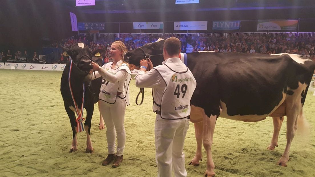 'Olympische Spelen' voor melkveehouders in Zwolle