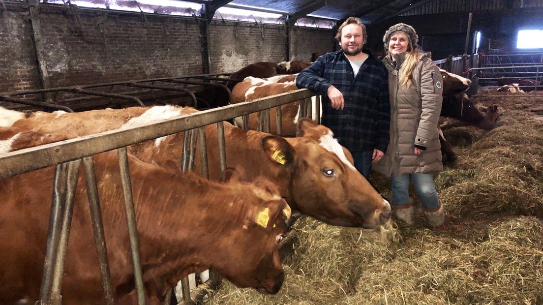 Melkveehouders Sandra en Harald Woldring uit Haren met hun zeldzame Friese roodbontkoeien