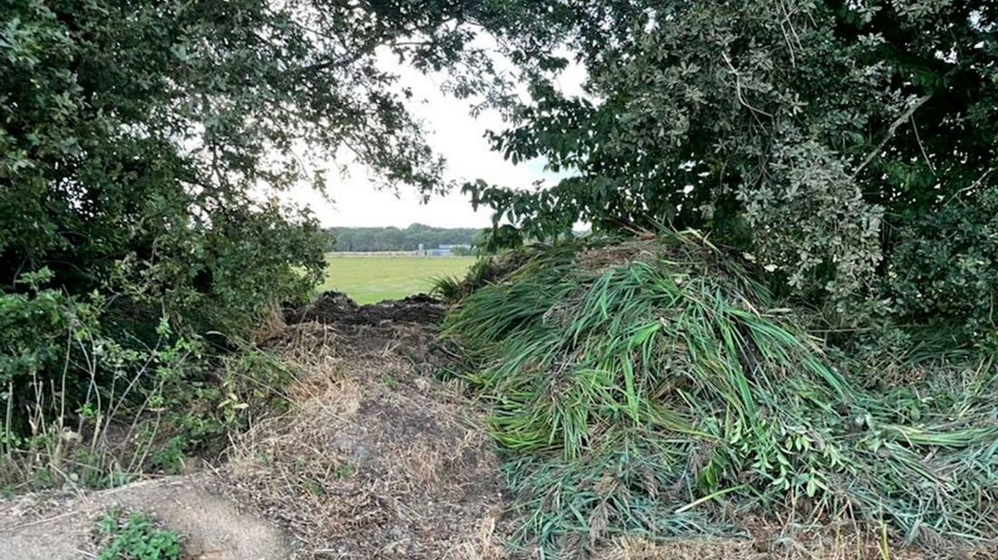 Het bosje met dassenburcht en het gedumpte maaisel.