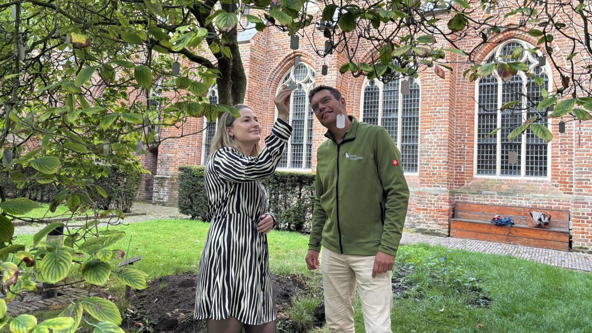 Deze boom is in de race voor de boom van het jaar: 'Lijkt in eerste instantie niet heel bijzonder'