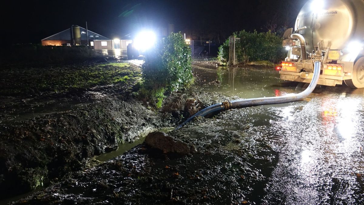 GroenLinks wil onderzoek naar duizenden liters koeienpoep bij Hardenberg