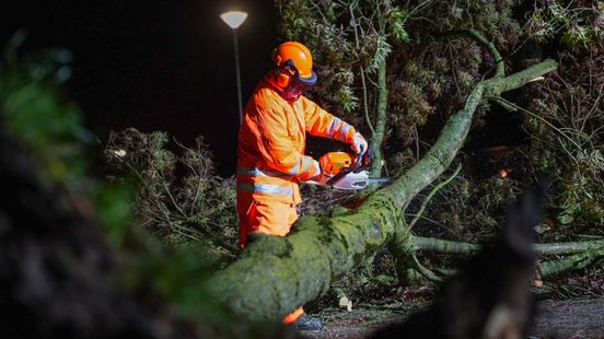 Weer slecht weer: windstoten van 75 kilometer per uur en harder verwacht Home
