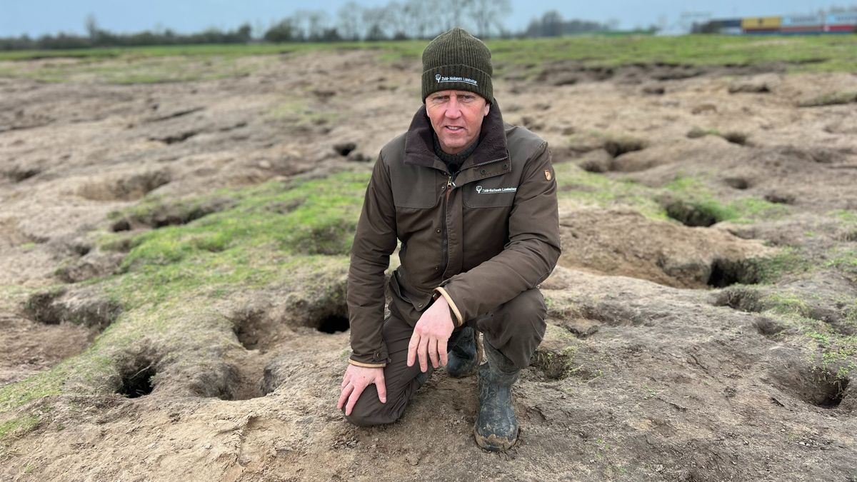 Konijnen-walhalla in Lexmond doet het té goed: 'Ze graven, graven, graven'