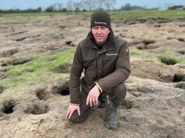 Konijnen-walhalla in Lexmond doet het té goed: 'Ze graven, graven, graven'