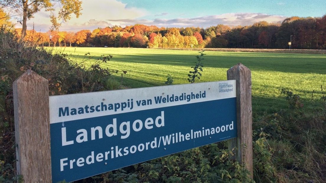 Maatschappij van Weldadigheid