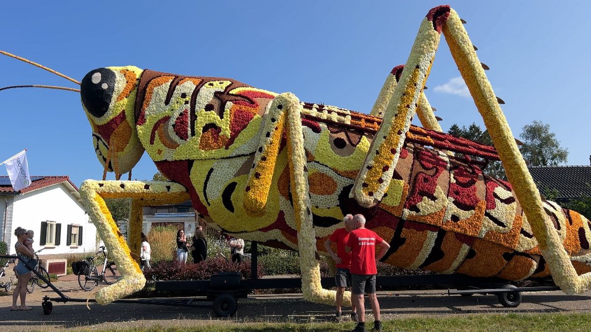 Kijken maar: een rondje langs de bloemencreaties in Leersum