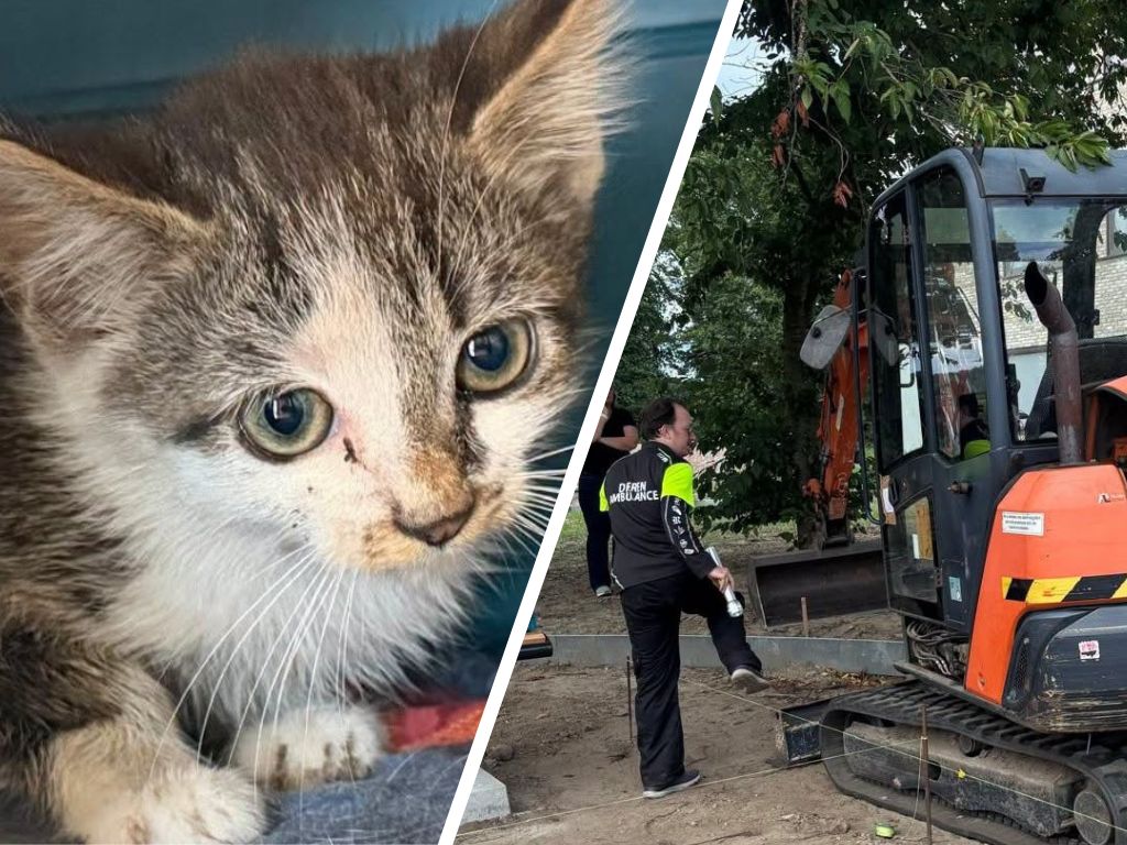 Brandweer bevrijdt kitten uit graafmachine in Hulst