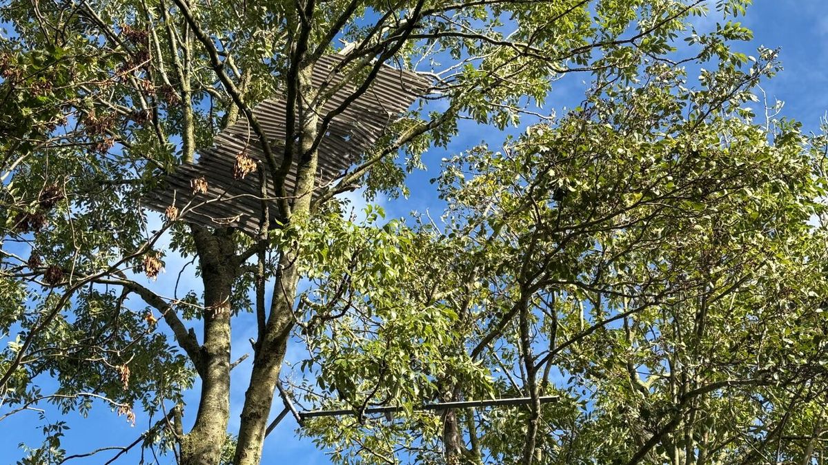 Boerderij van Siep en Janneke de Vries vol geraakt door tornado: 