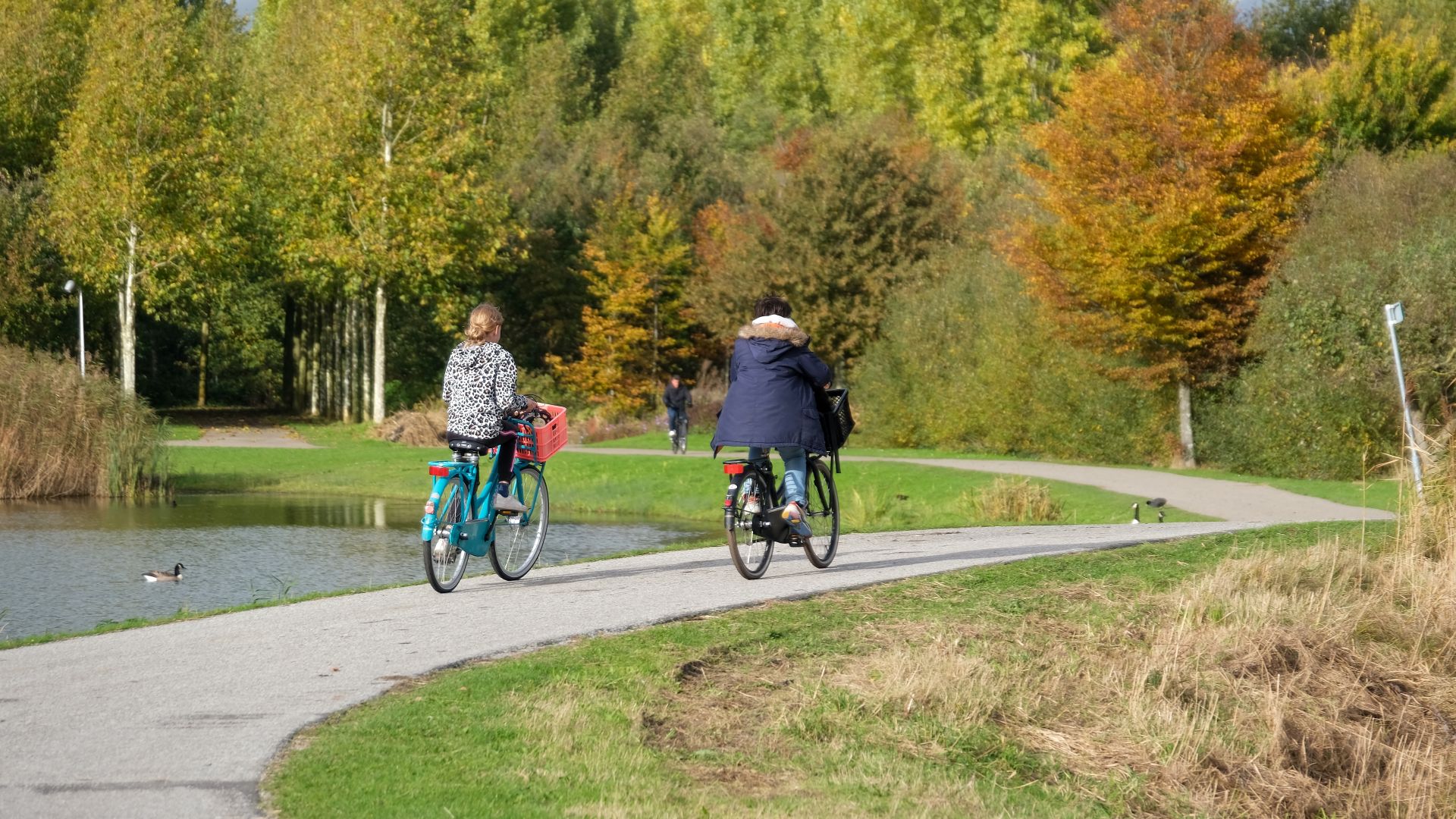 Grote zorgen na berovingen Máximapark in Utrecht