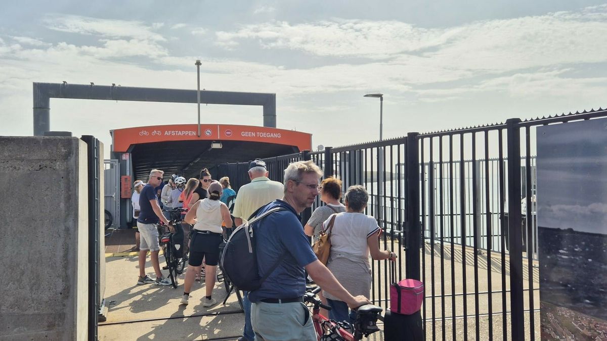 Problemen stapelen zich op bij Westerschelde Ferry: website urenlang offline en aanschuiven bij de k