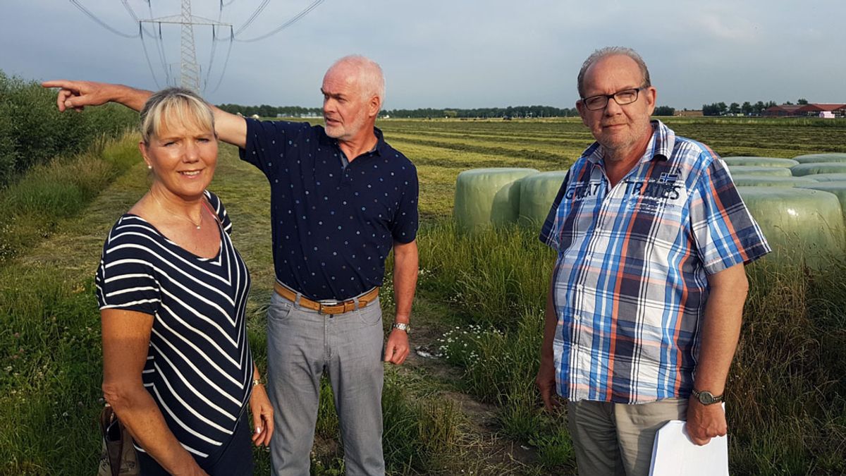 Mijnsheerenland mekkert over komst 2000 geiten