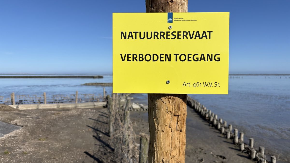 Mensen zijn niet meer welkom in de kwelders van Wierum en Ternaard