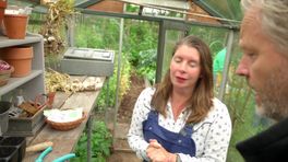 Mini-masterclass moestuin maken | visionairs van de toekomst