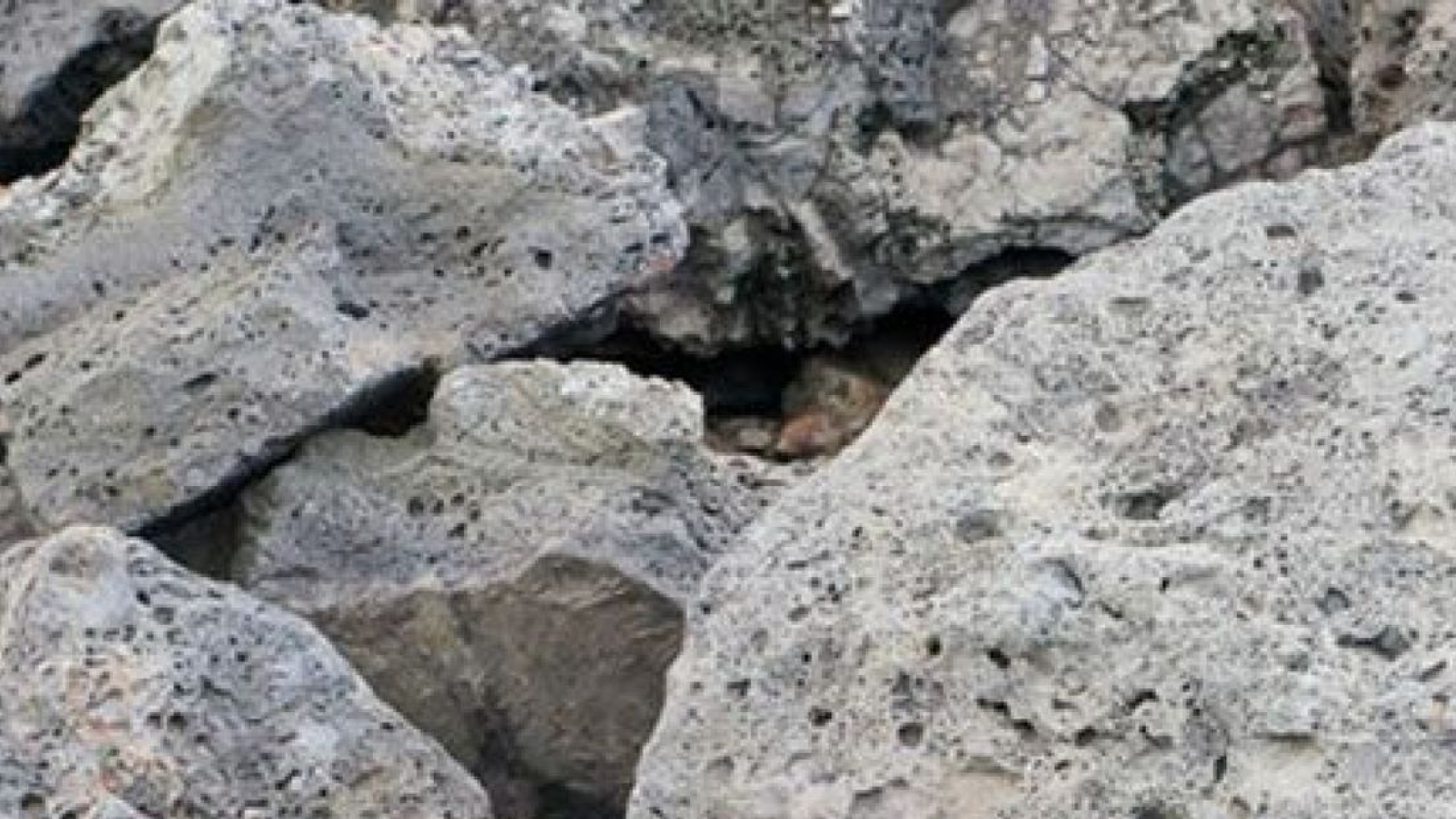 Gemeente verwijdert staalslakken op zes speelplekken