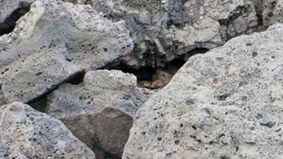 Gemeente verwijdert staalslakken op zes speelplekken