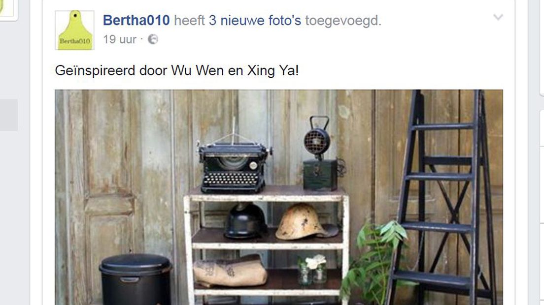 Kastje geinspireerd op de panda's