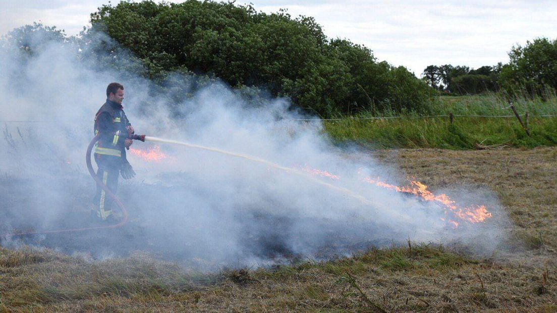 Gedroogd gras vatte vlam (Rechten: De Vries Media)