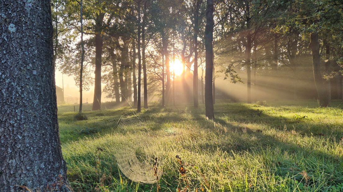 'Iedereen geniet van de zonsopkomst', stuurde Neline van Erkel vanochtend