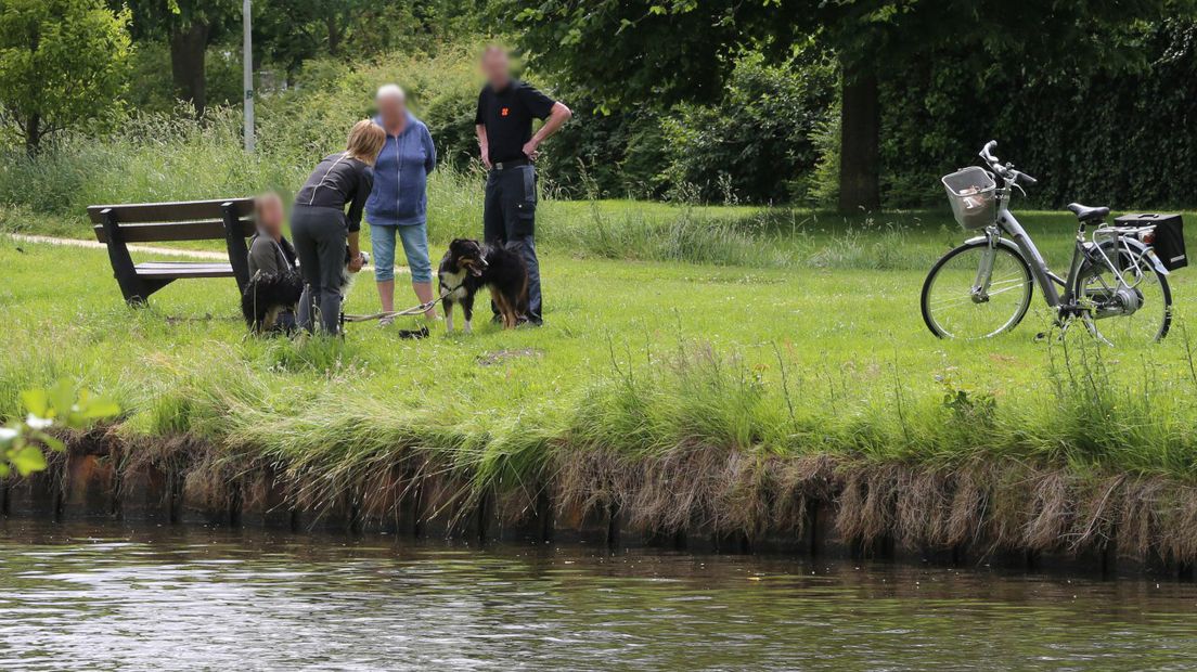De vrouw sprong achter haar hond aan in het water (Rechten: Persbureau Meter)