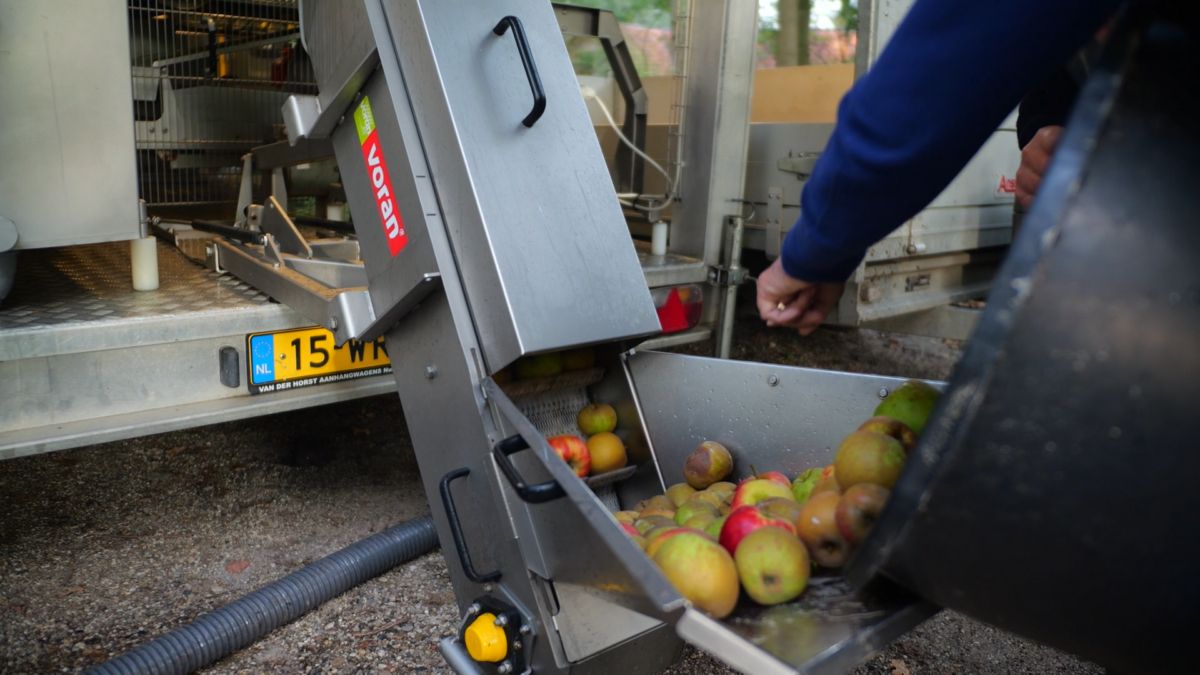 Met aanhangers vol appels naar Mander: fruitpers draait overuren