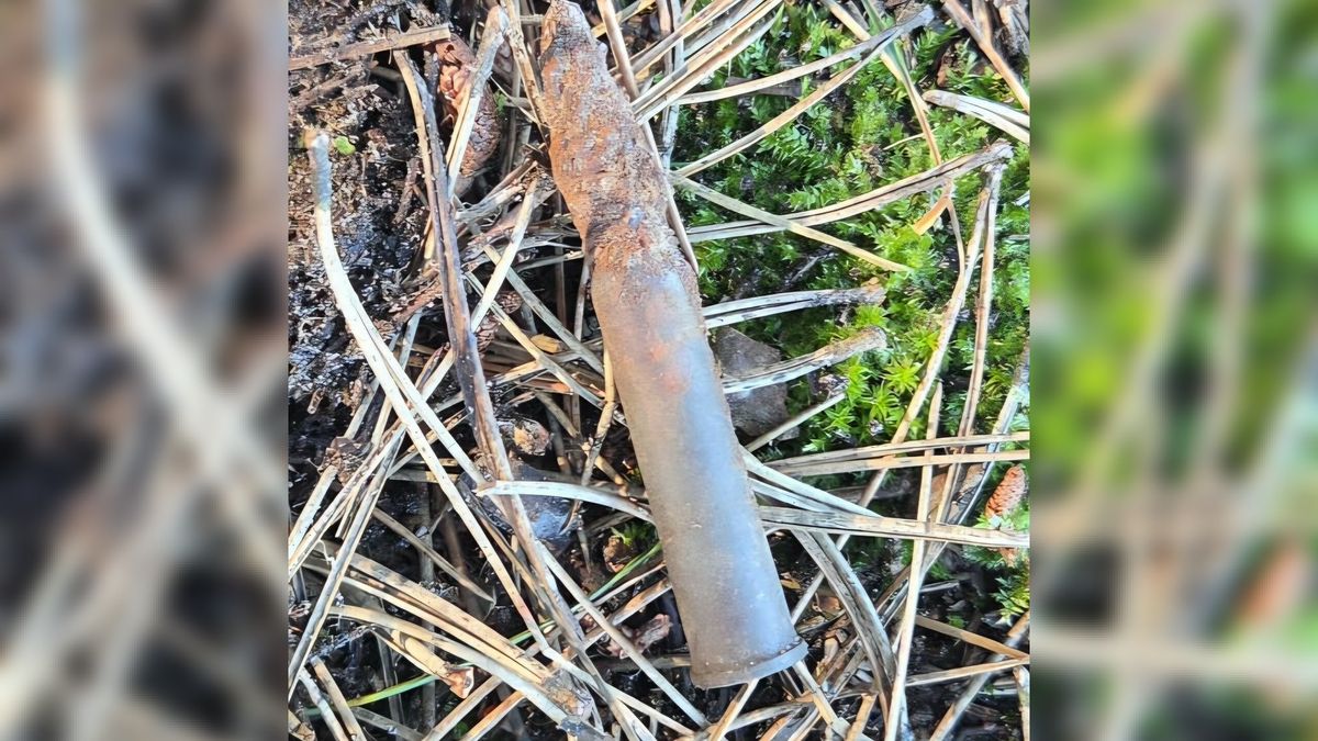Munitie uit de oorlog gevonden op Ameland: 