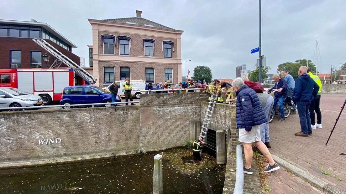 Onder veel belangstelling werd zaterdag een snoek bevrijd in Kampen.