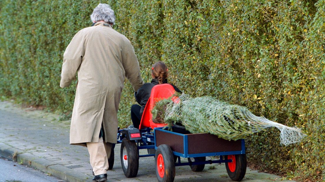 Een man en een meisje vervoeren een kerstboom