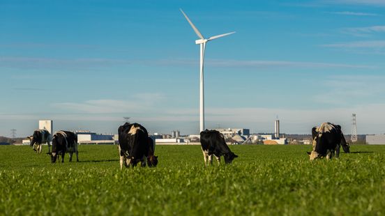 Limburg veel te klein voor alle ruimtelijke plannen van de provincie Nieuws