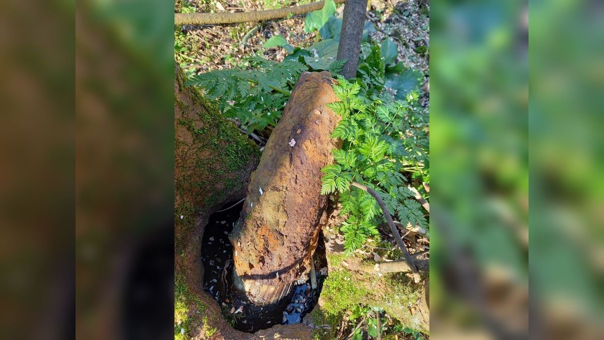 EOD maakt granaat in bos Noordgouwe met spoed onschadelijk