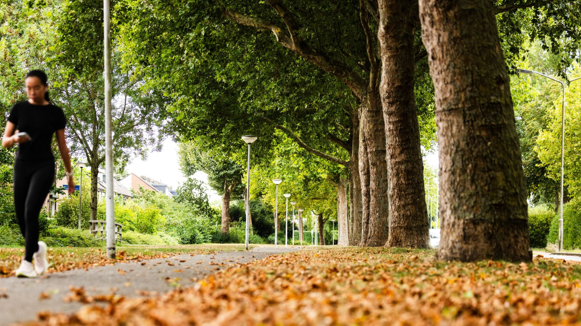 Dit doet de uitzonderlijke warmte met onze natuur: ‘Mediterranisering’