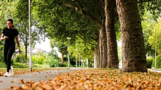 Warmte zet natuur op z’n kop: bomen bloeien opnieuw en ‘verse’ vlinders verschijnen