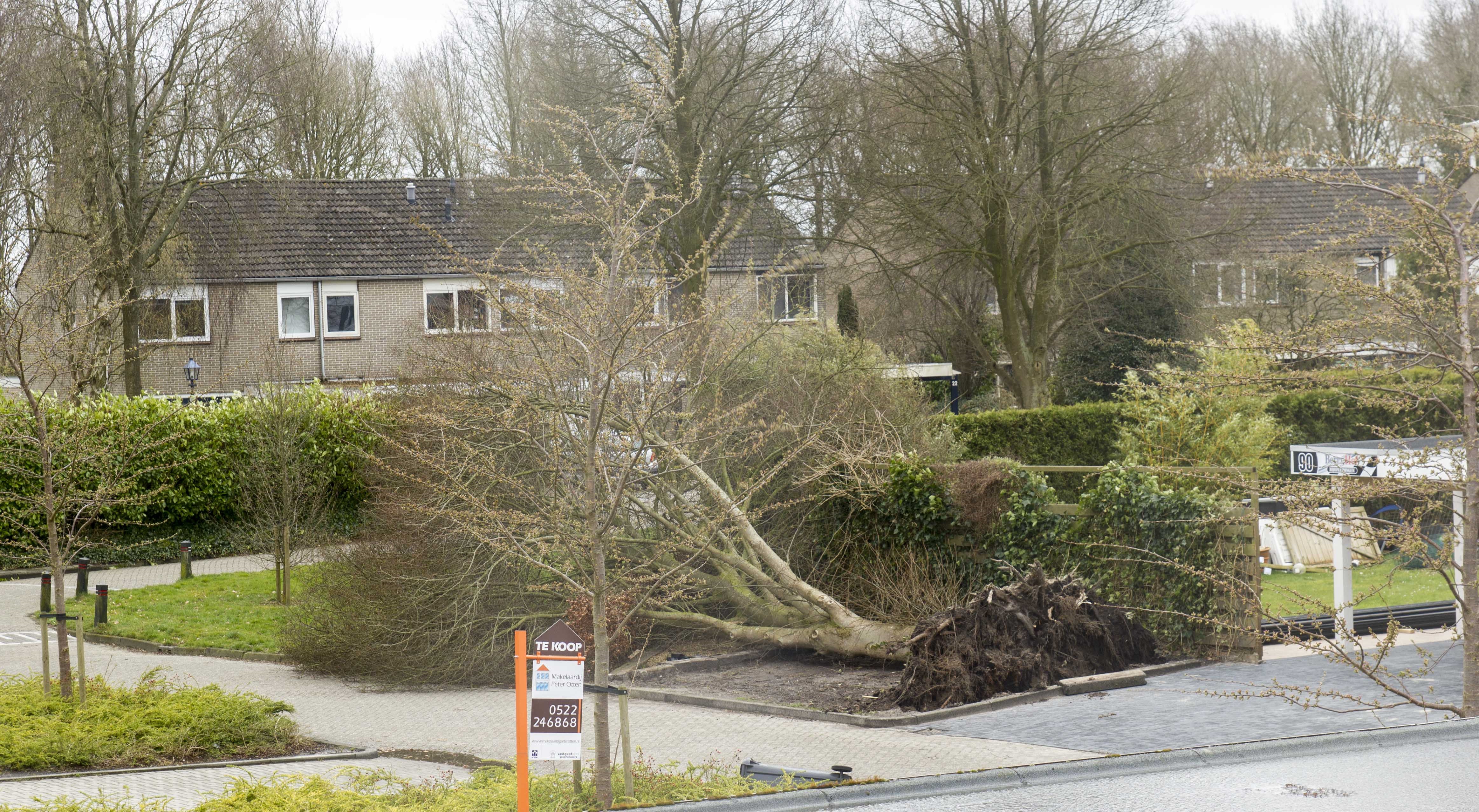 In Beeld: Storm In Drenthe - RTV Drenthe