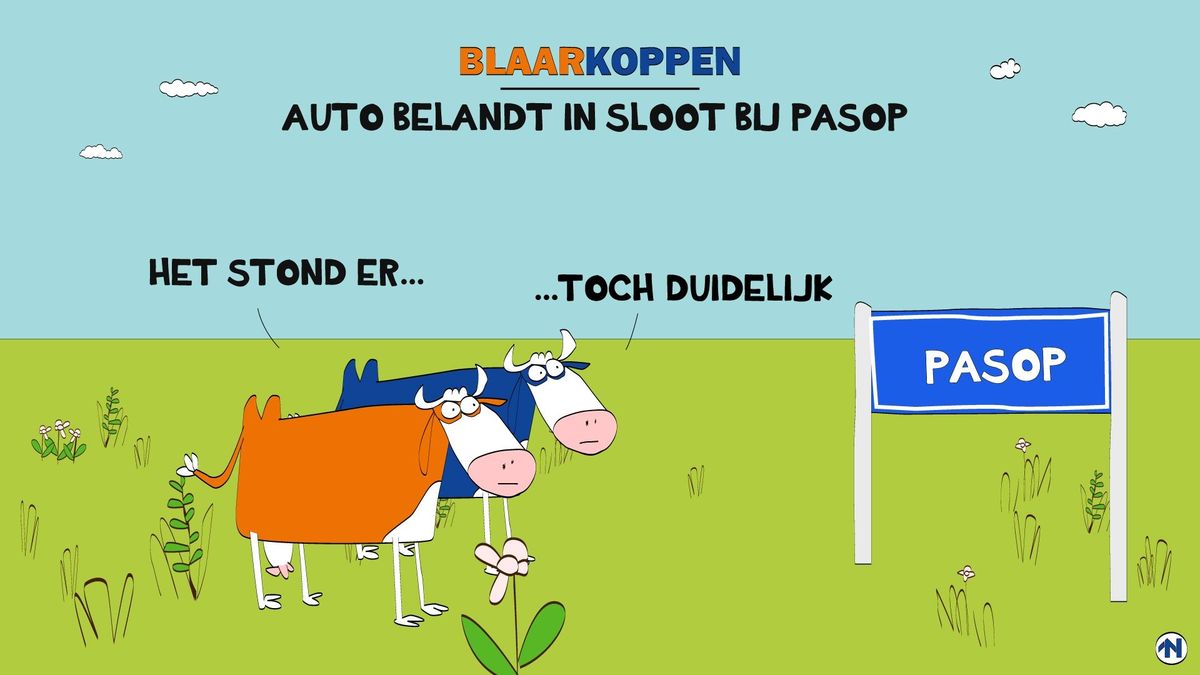 Blaarkoppen vinden het wel een beetje dom RTV Noord
