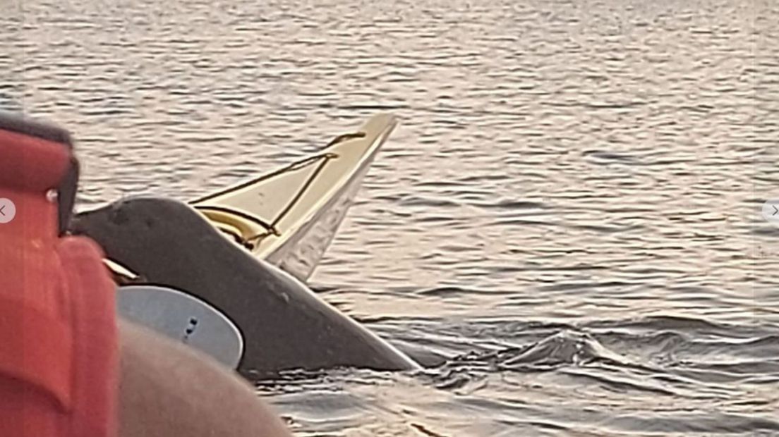 Zeehond kruipt op kano